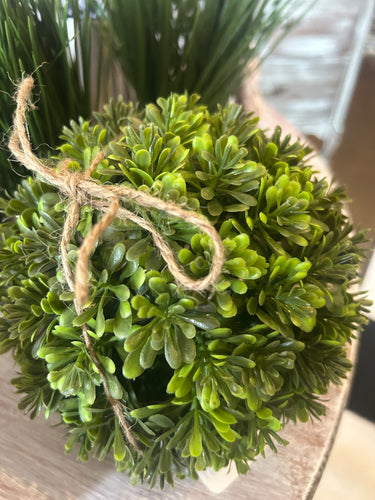 Plant ball