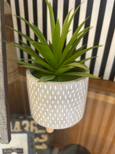 Load image into Gallery viewer, Little potted plant