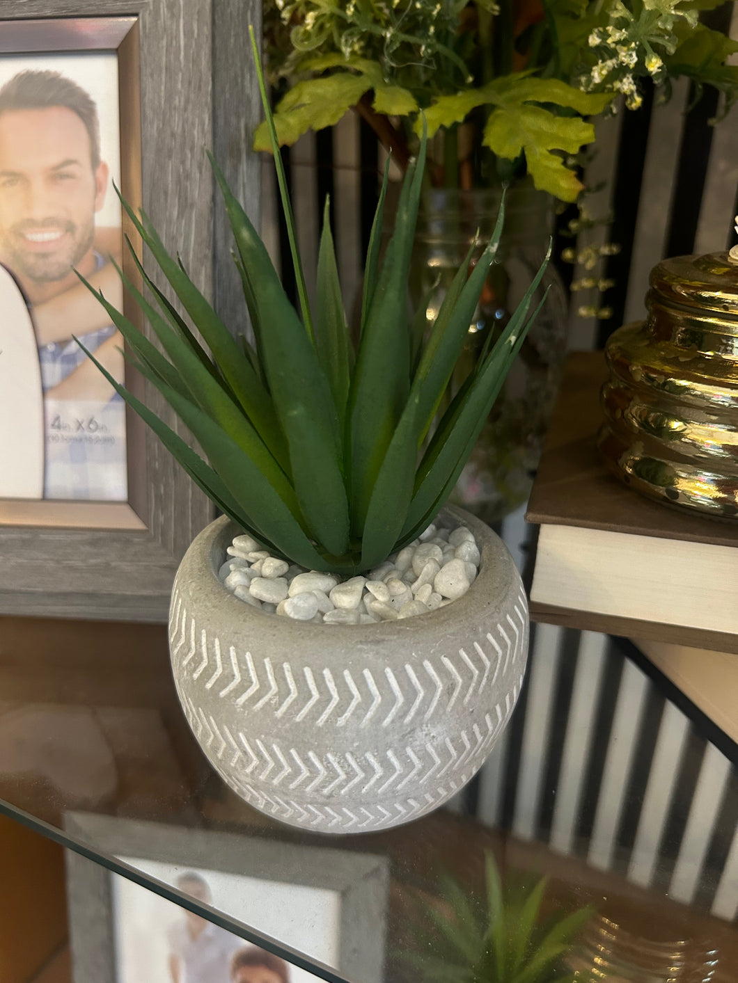Little potted plant